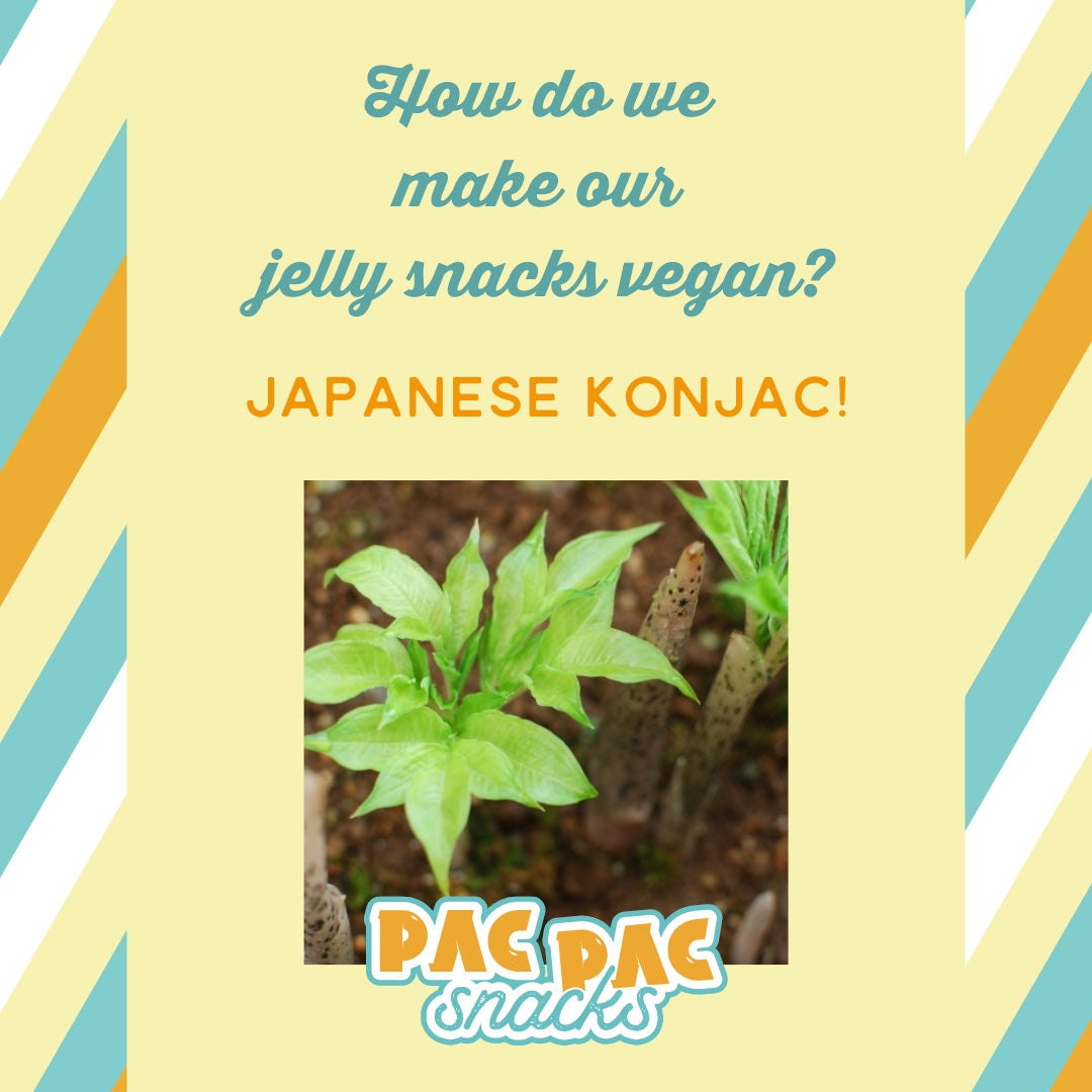 Are gummy snacks vegan?