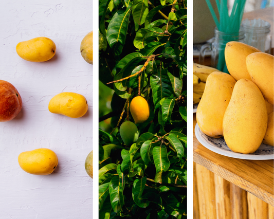 Unveiling the Nutritional Powerhouse of Alphonso Mangoes